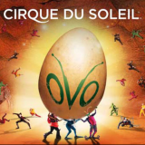 CIRQUE