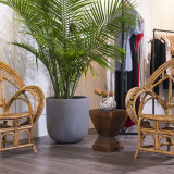 reformation_pop_up-05400